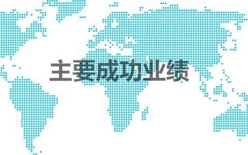主要成功業(yè)績